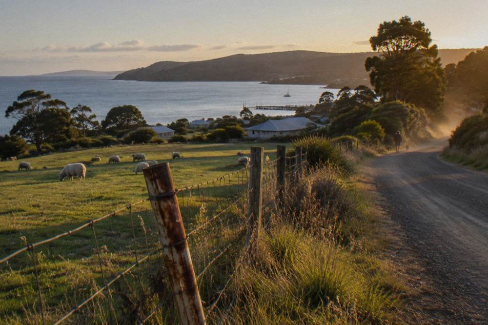 Rolling green farmland and coastline under a wide sky on an island road at golden hour