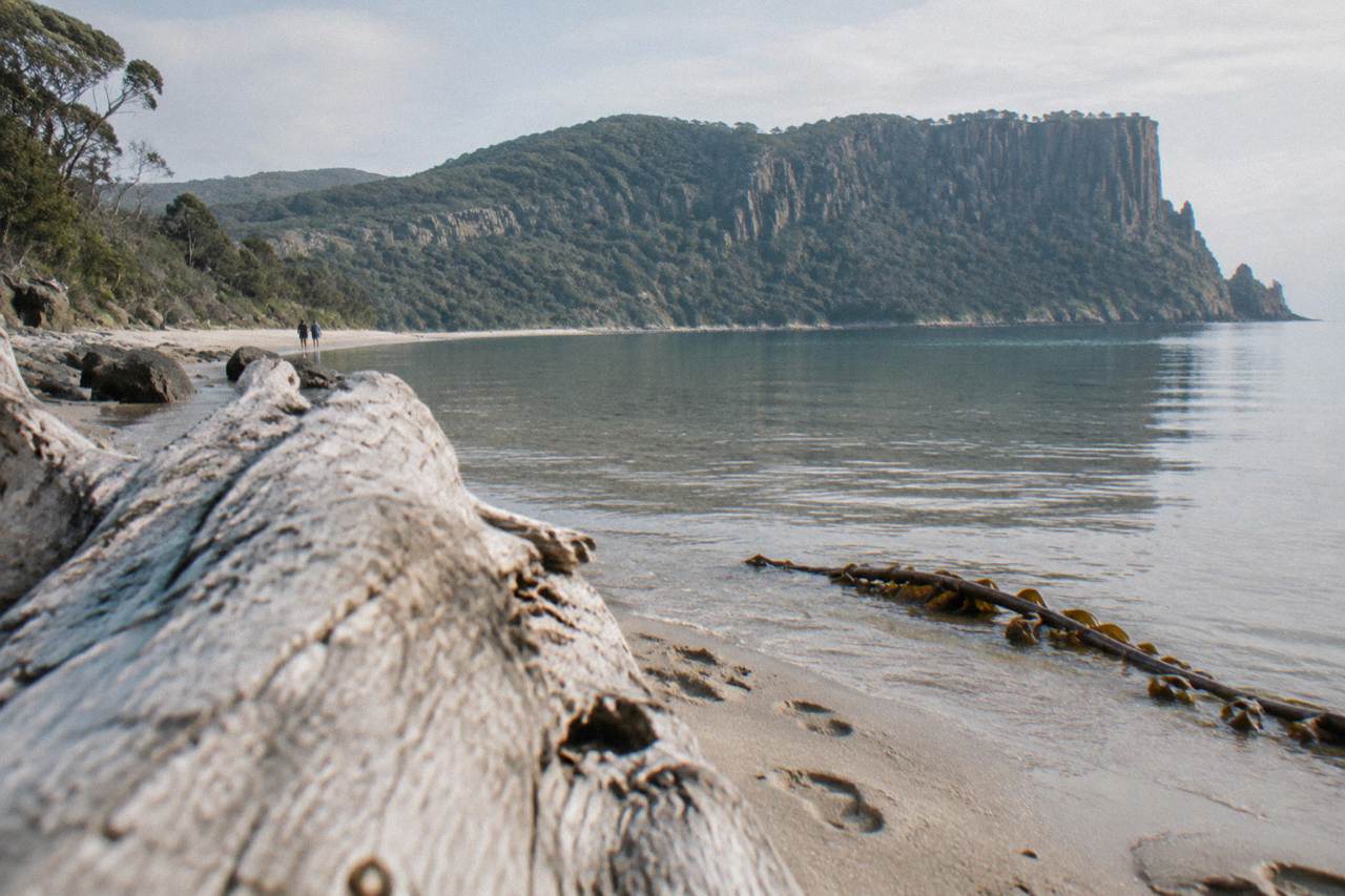 A quiet Bruny Island beach with dolerite cliffs rising behind calm water at midday