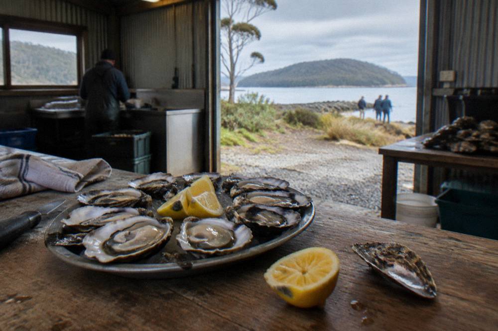 A platter of freshly shucked oysters on a wooden counter beside lemon wedges
