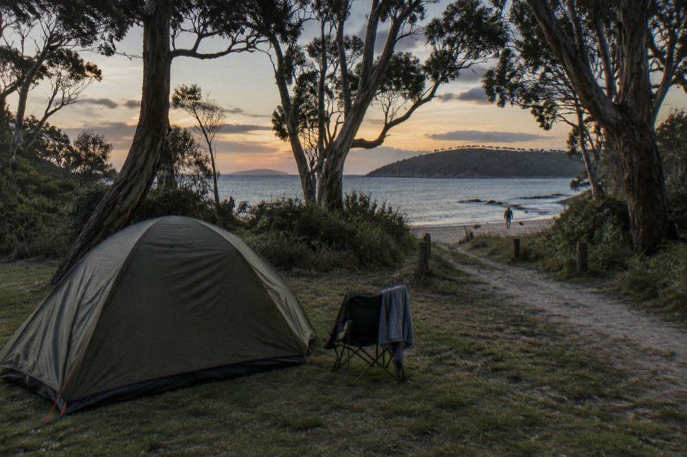 A quiet campsite among trees near a sheltered beach at dusk