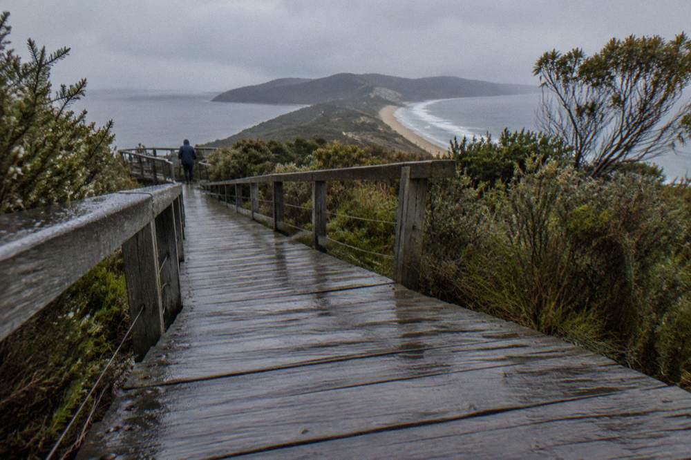 A wooden boardwalk crossing coastal scrub toward a viewpoint