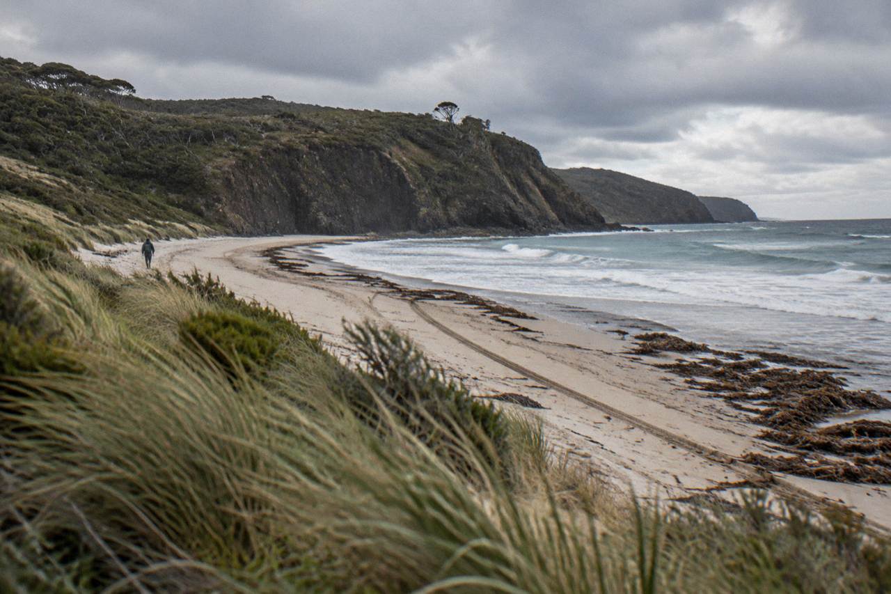 A quiet Bruny Island beach with dolerite cliffs rising above low dunes
