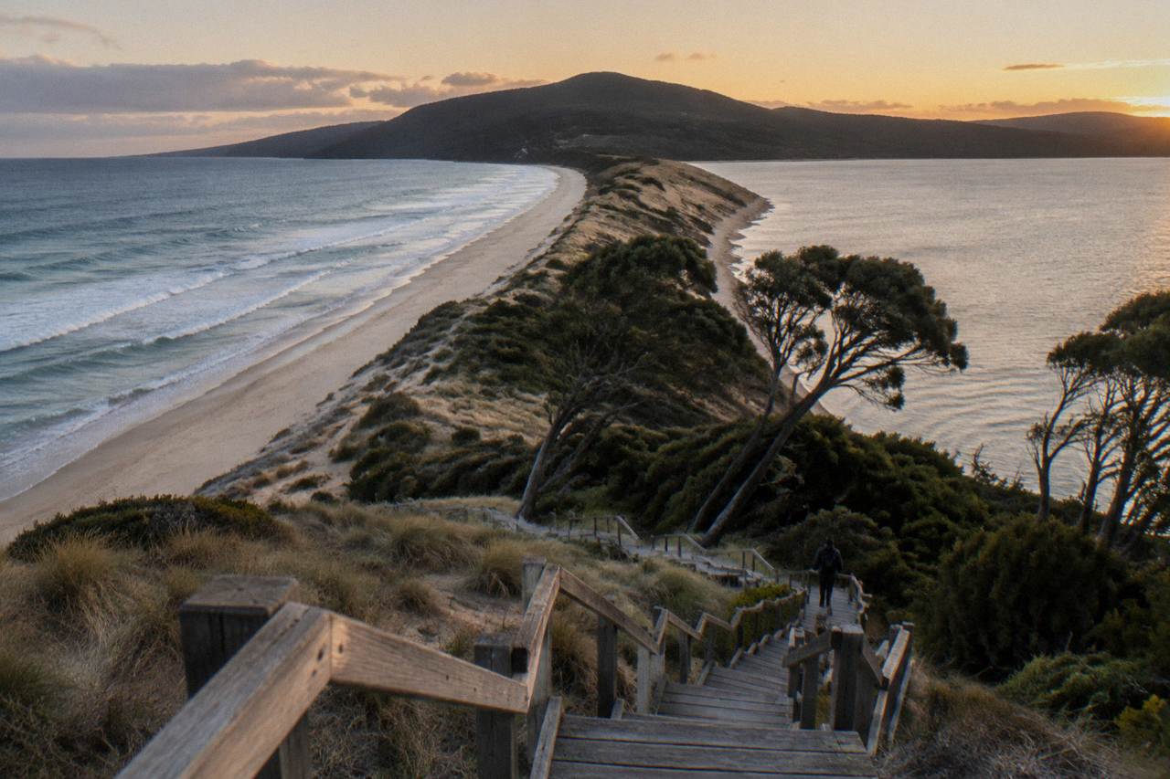 Wooden stairway climbing the sandy isthmus of The Neck toward an ocean lookout on Bruny Island