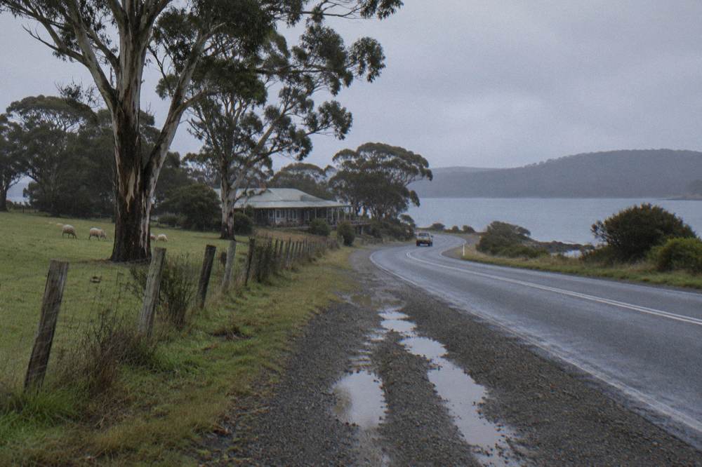 A quiet Bruny Island road winding past farmland and eucalypt forest toward the coast
