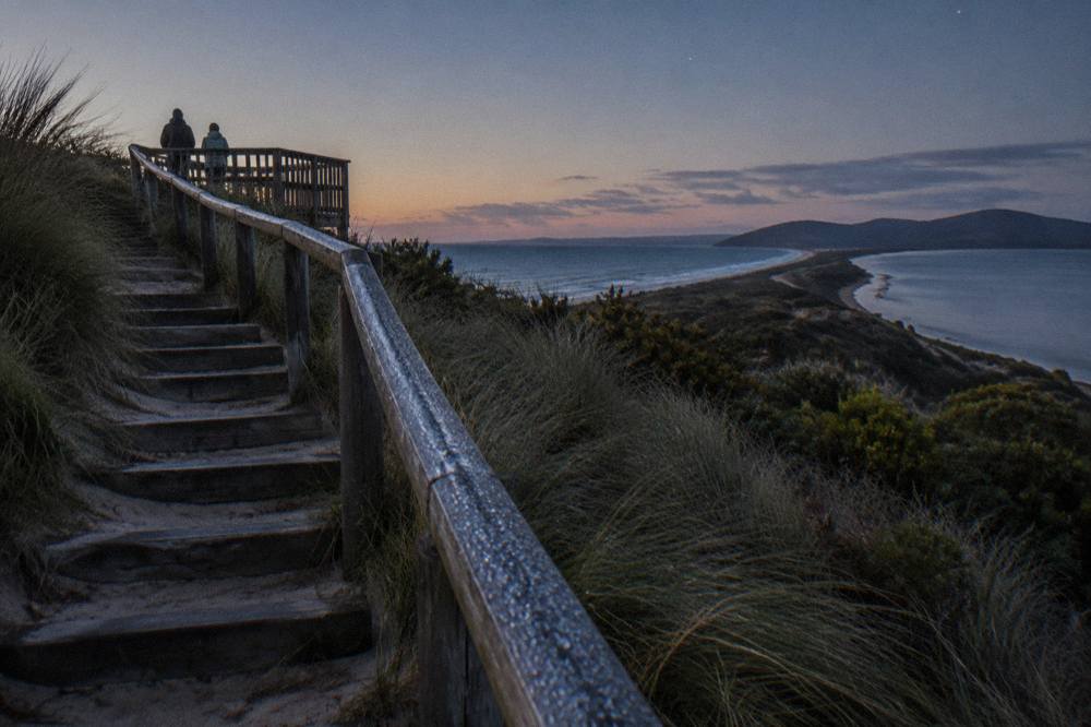 Timber boardwalk and stairs climbing a vegetated sand dune toward a lookout platform at twilight