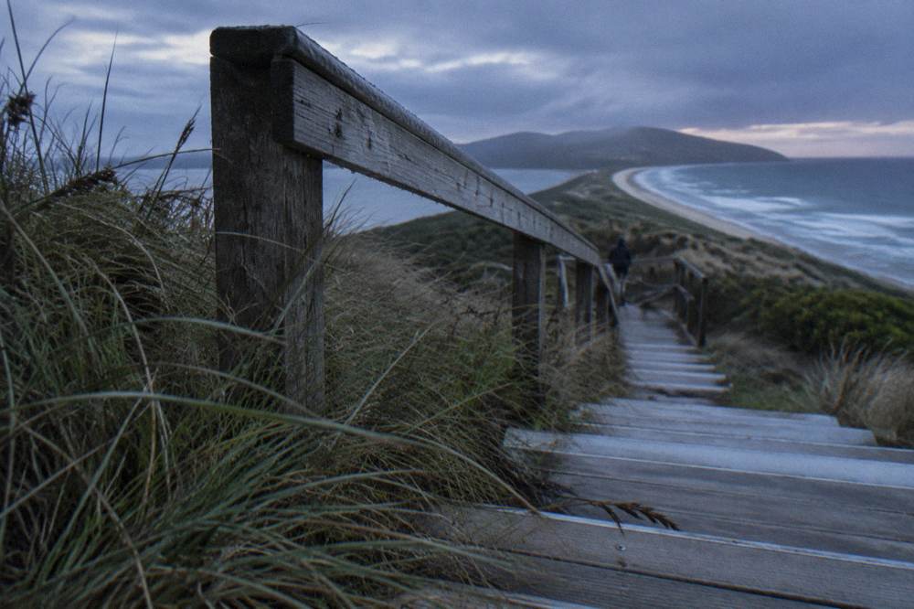 Coastal heath and dune grass beside a timber lookout stair in fading evening light