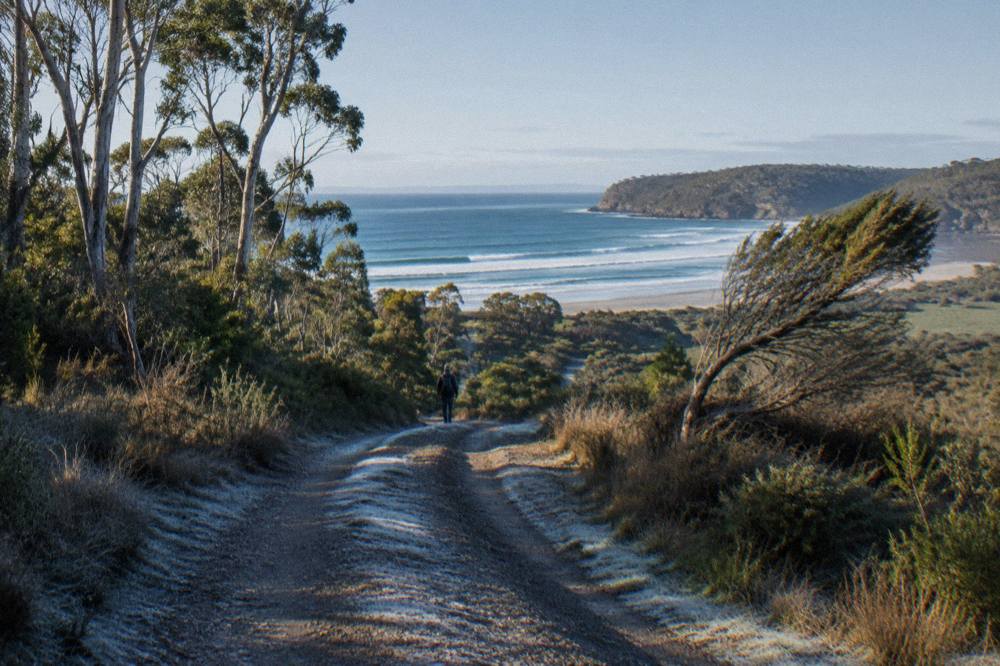 A quiet island road curving past eucalypt forest toward a distant coastline