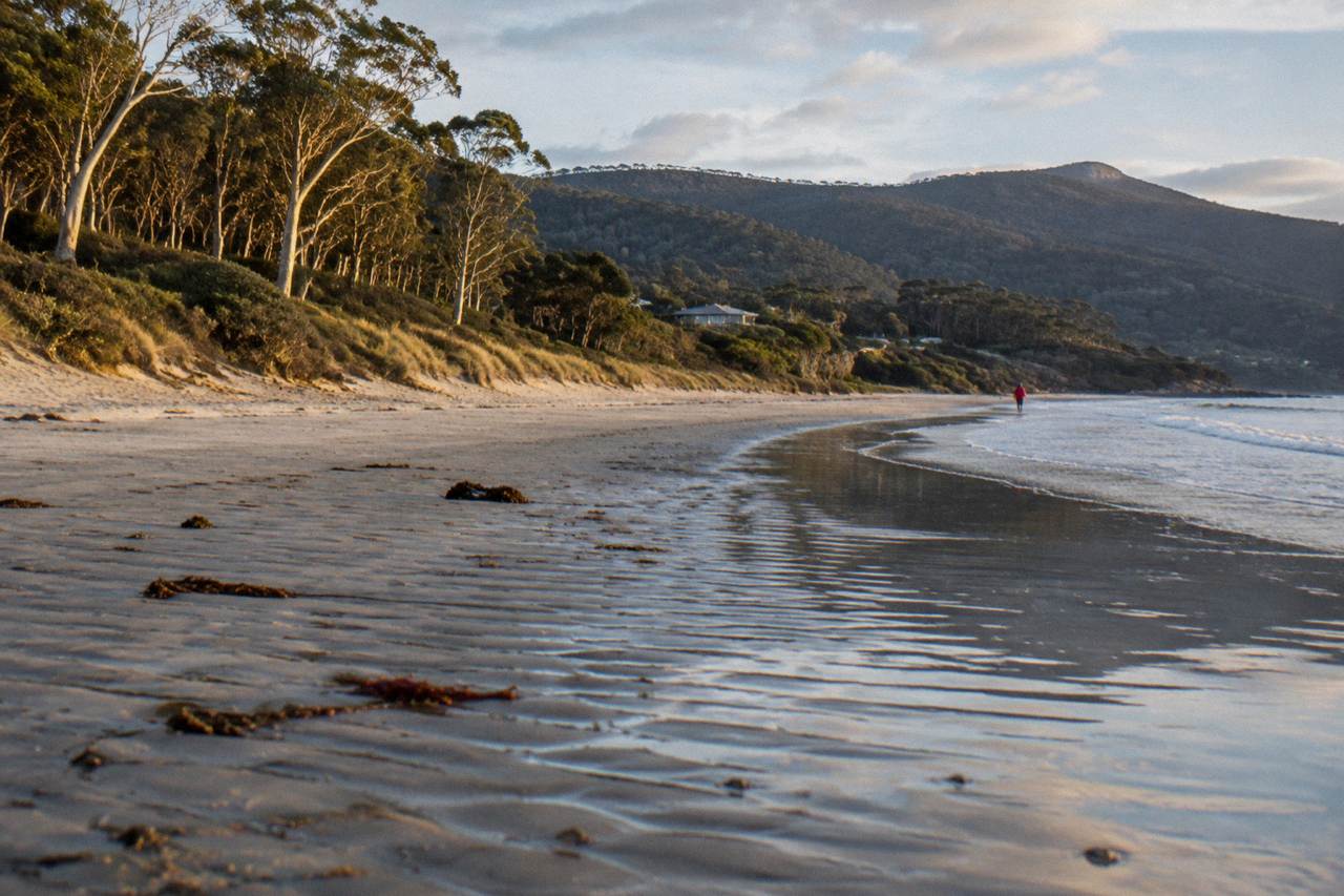 Long curving sandy beach at Adventure Bay with forested hills behind and calm water