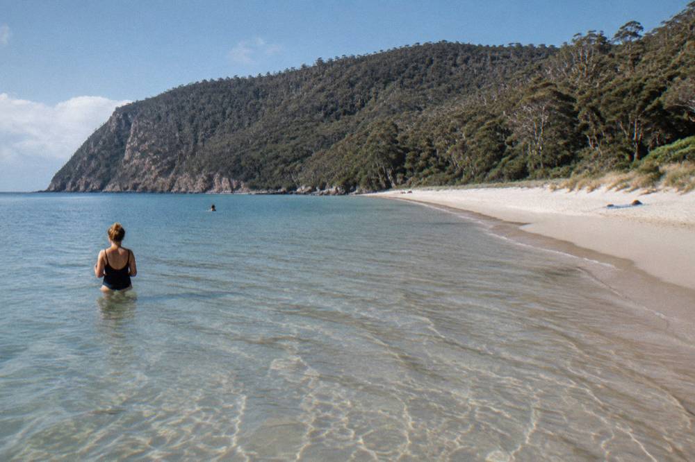 Long curving sandy beach with calm shallows and forested headland beyond