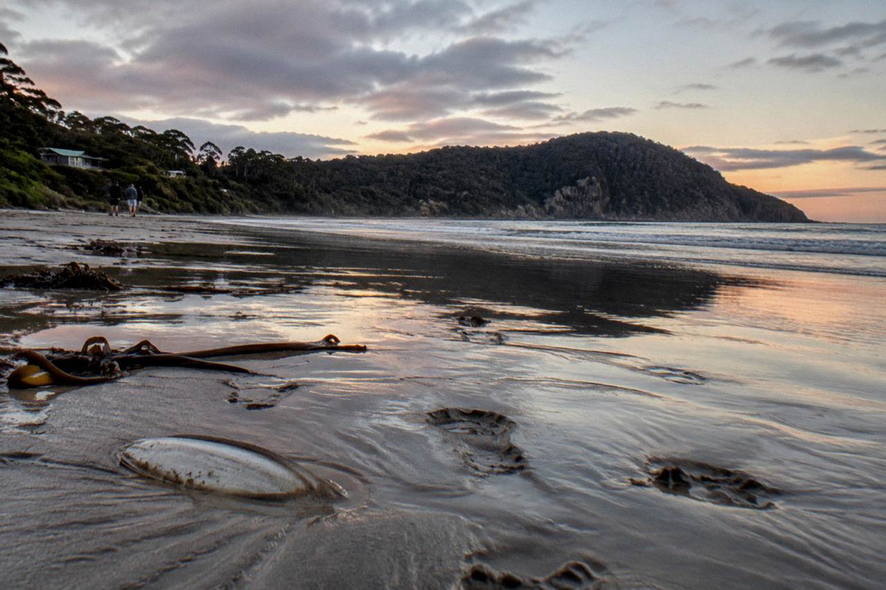 Quiet shoreline with calm water, low coastal hills and drifting evening cloud