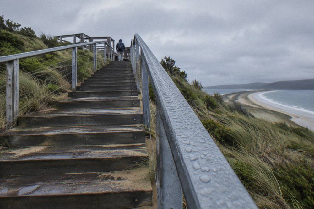 Timber steps of the Neck viewing platform rising over grassy dunes to a lookout