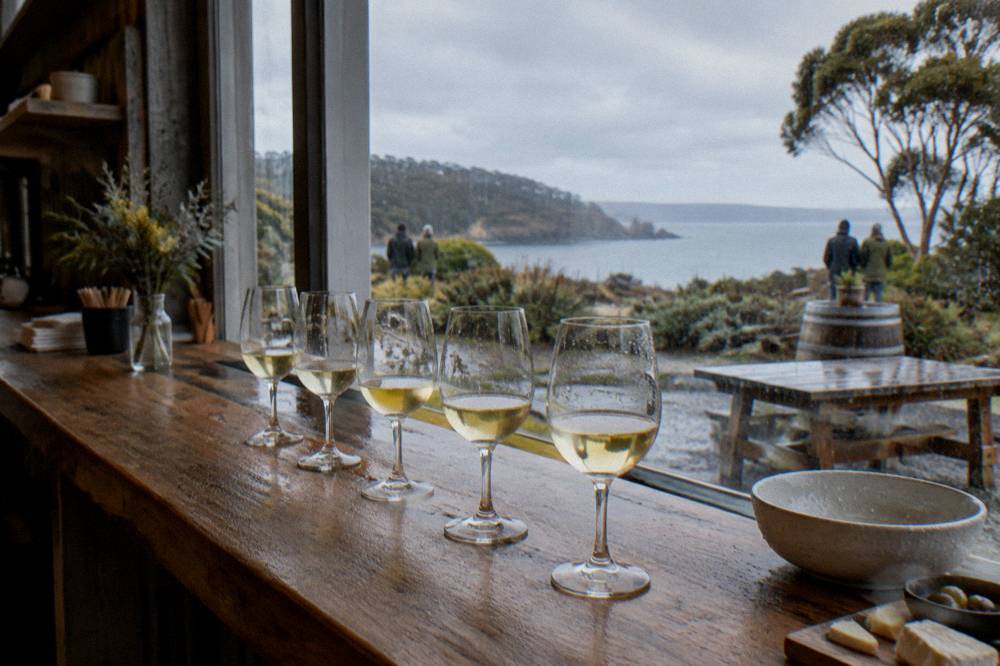 A cellar door counter with glasses of white wine lined up for a tasting
