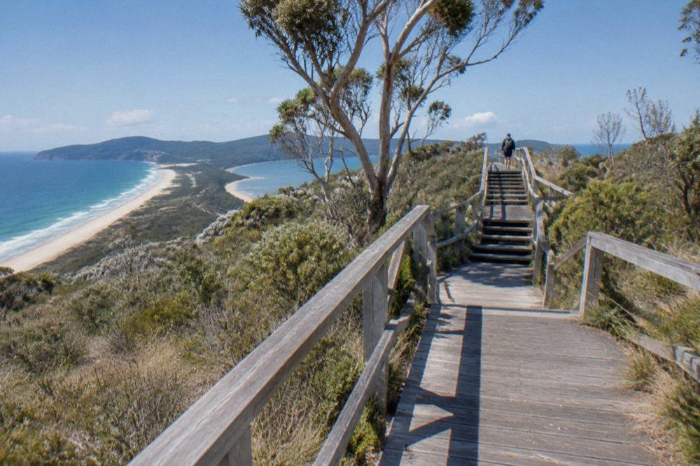 Long timber boardwalk staircase climbing through pale coastal scrub above a sand isthmus