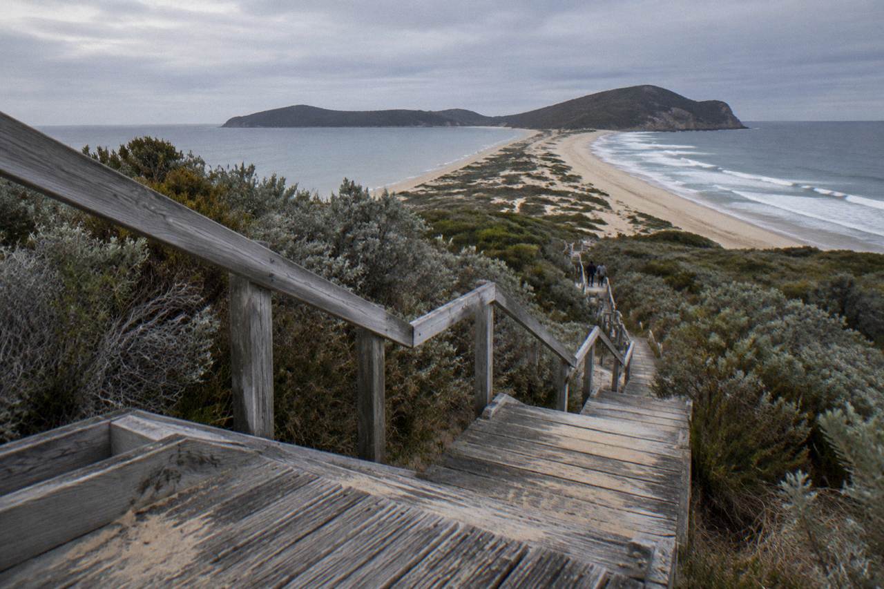 Wooden viewing platform stairs rising over low coastal scrub toward a sandy isthmus joining two headlands