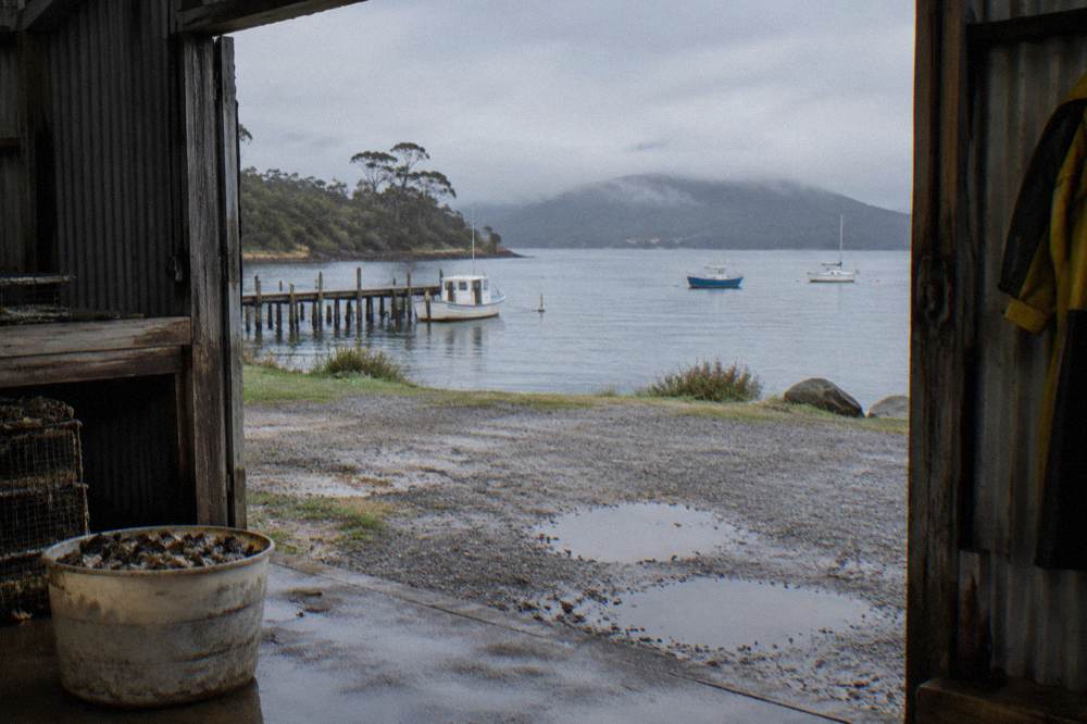 An oyster shed beside a calm bay with boats at their moorings