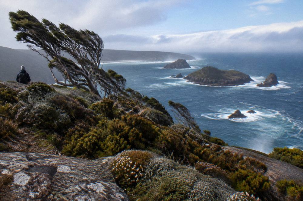 Wind-swept clifftop heathland looking south over rocky islands in blue ocean