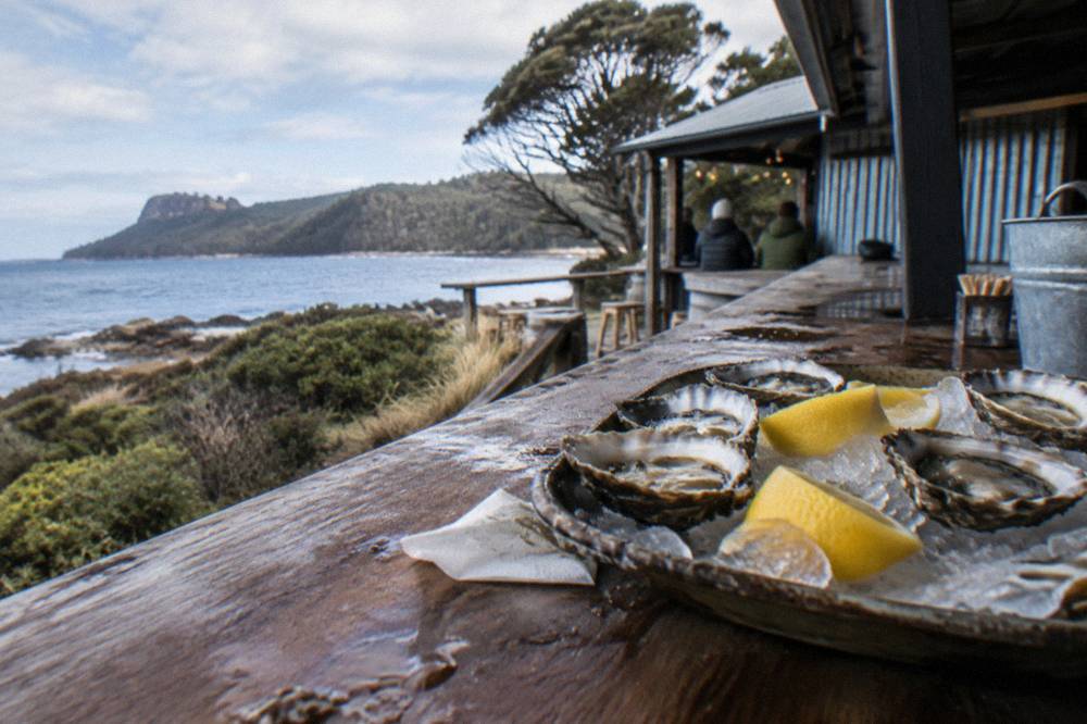 Freshly shucked oysters on a bed of ice beside lemon wedges at an outdoor bar