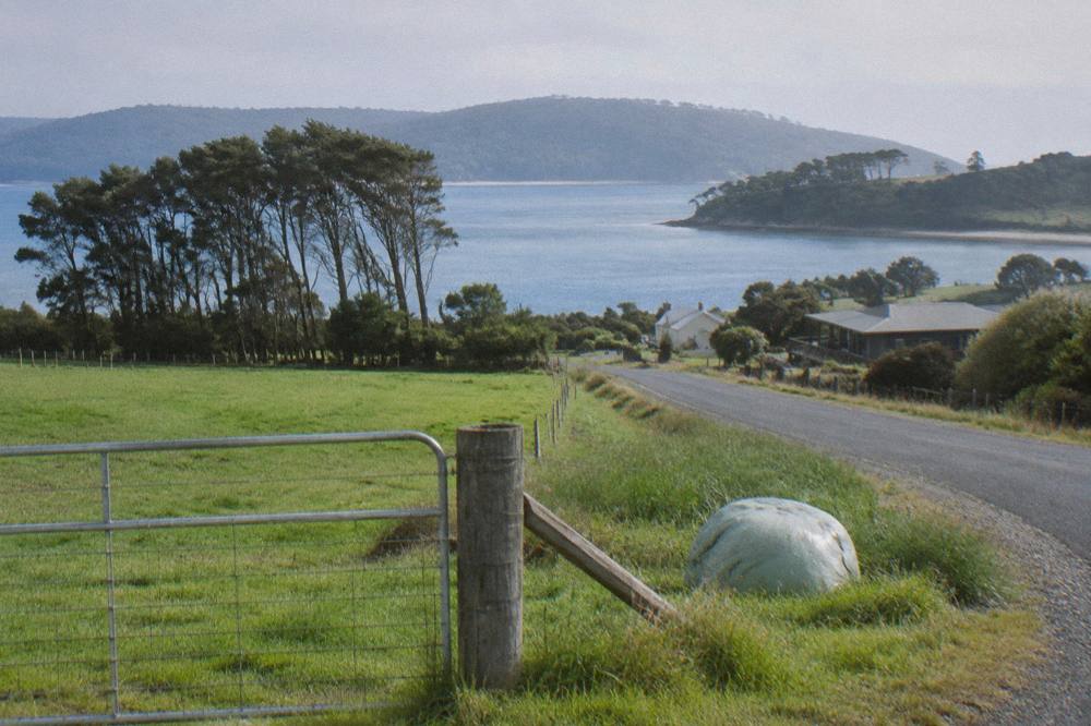 A country road curving past green paddocks toward a calm blue channel
