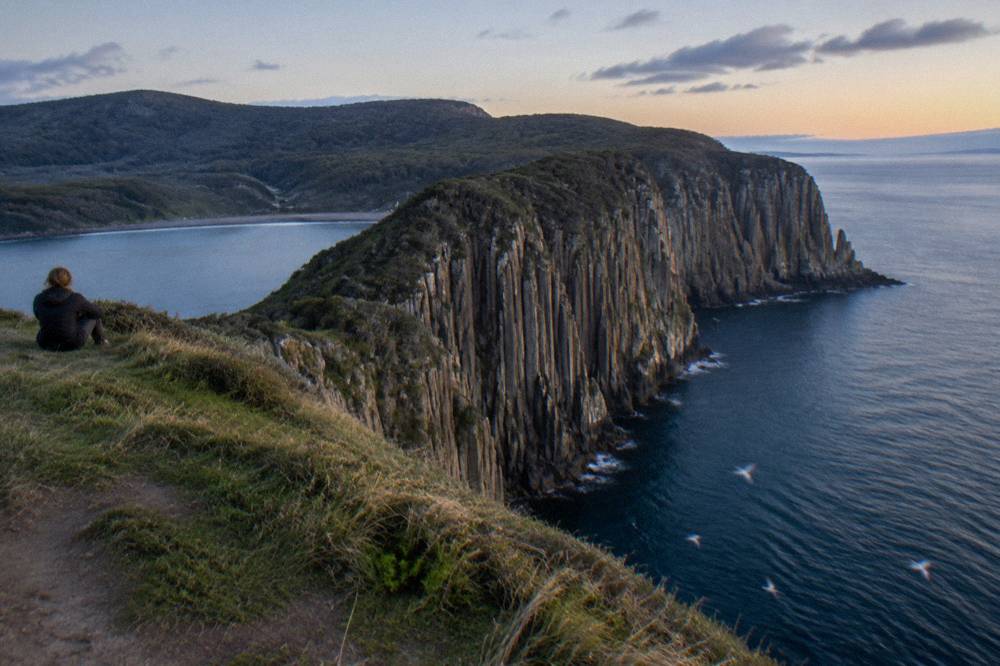 Tall fluted dolerite cliffs rising above calm blue water with seabirds in flight