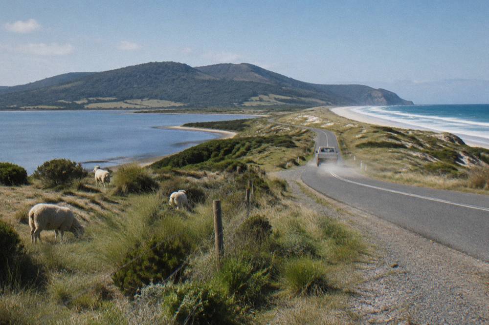 A quiet island road curving through green pasture toward distant blue water