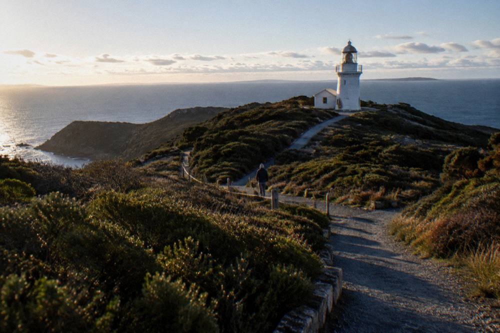 A white lighthouse tower standing above low coastal heath at the end of a gravel path