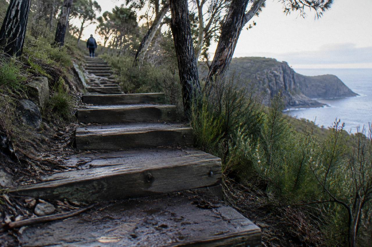 Timber steps climbing a steep coastal track through bushland toward a dolerite cliff edge above the sea