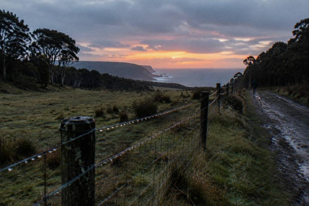 An open grassy paddock at dusk with tree lines on either side under a fading orange sky
