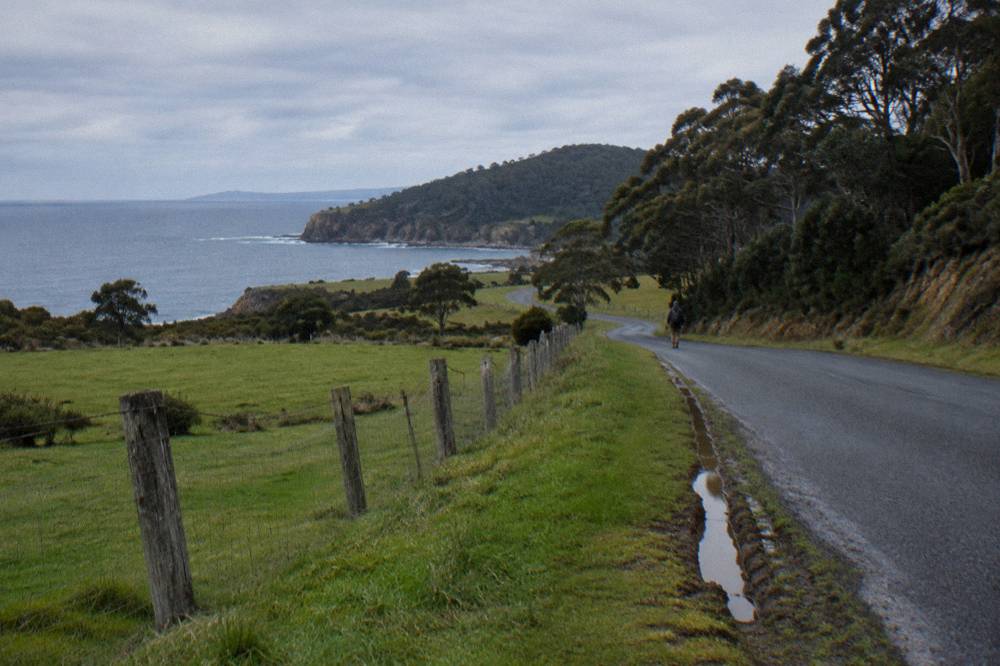 A quiet island road curving between green paddocks and dark bush under an overcast sky
