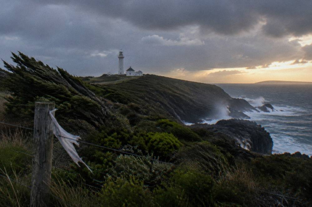 View along a windswept clifftop toward the white lighthouse tower at Cape Bruny