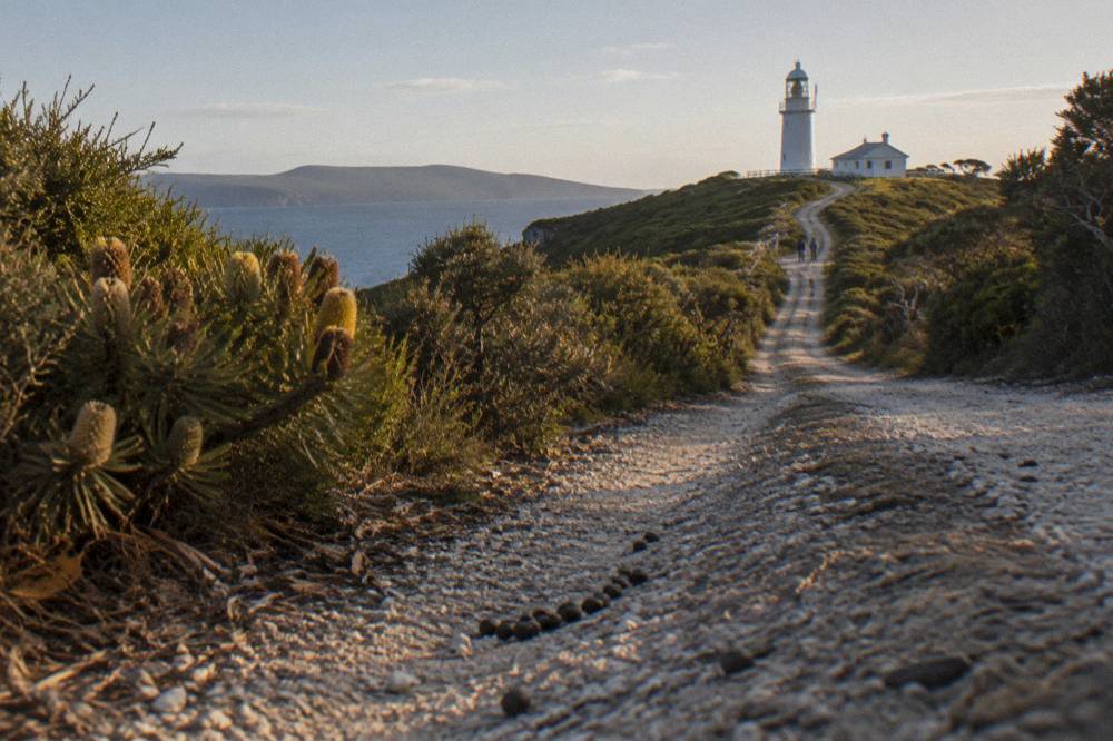 Quiet gravel road winding through coastal scrub toward the southern end of Bruny Island