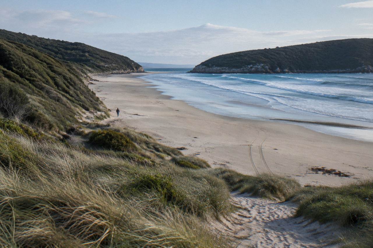 Long empty sand beach curving between green headlands under a wide sky