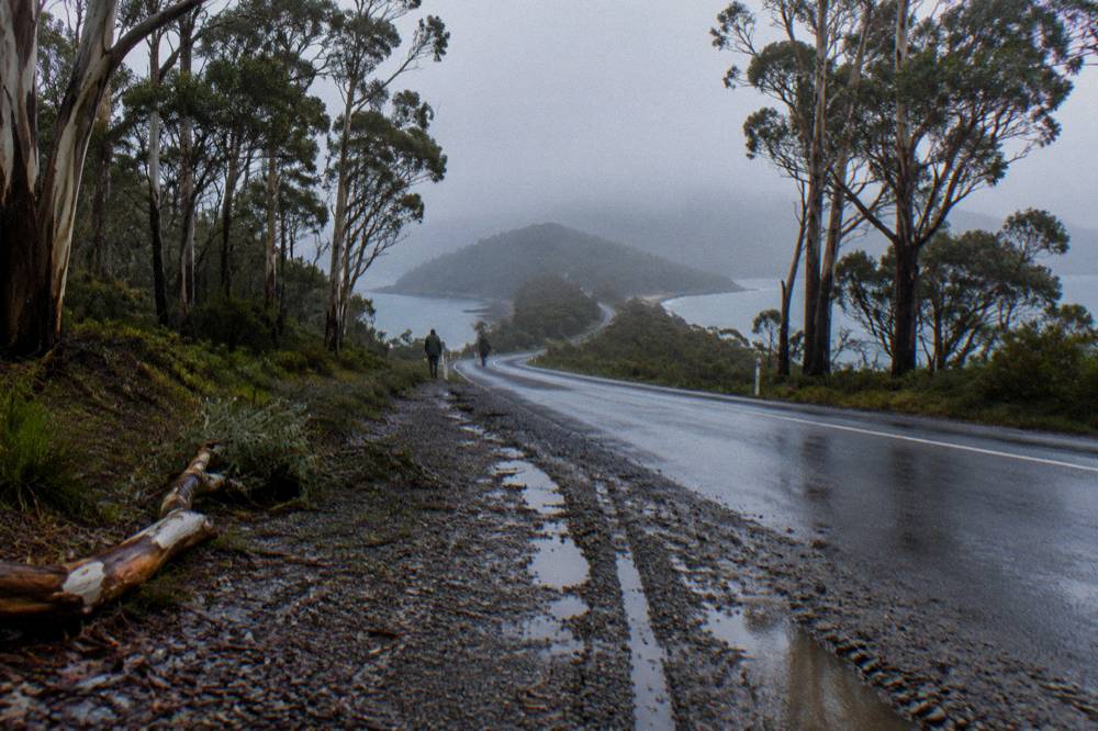 An empty winding road through eucalypt forest on Bruny Island with a roadside pull-in