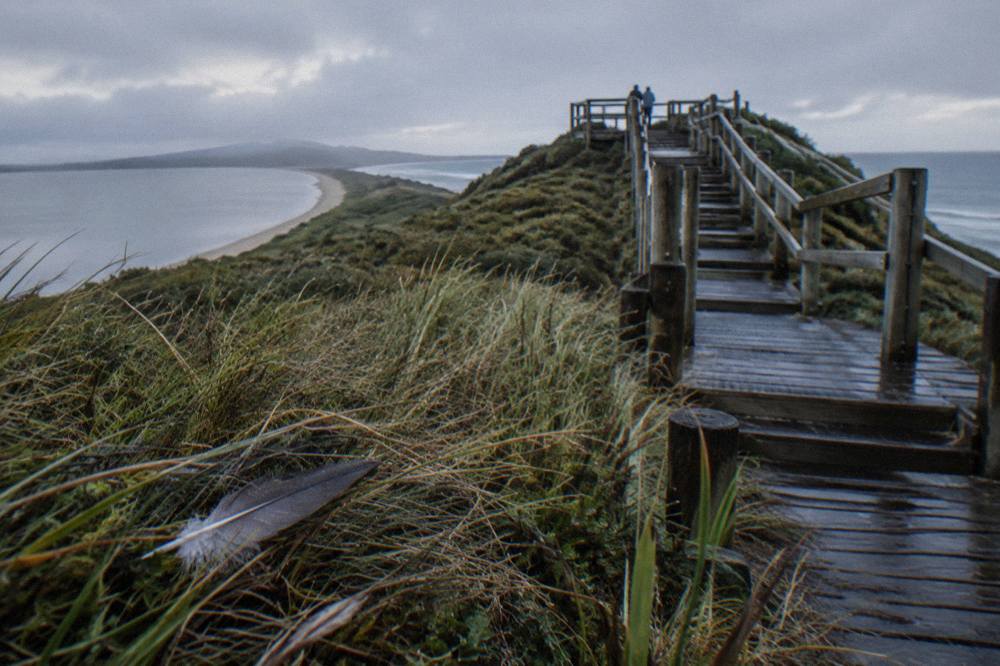 A timber staircase and viewing platform rising above low coastal scrub, with calm water on both sides of a narrow sand isthmus