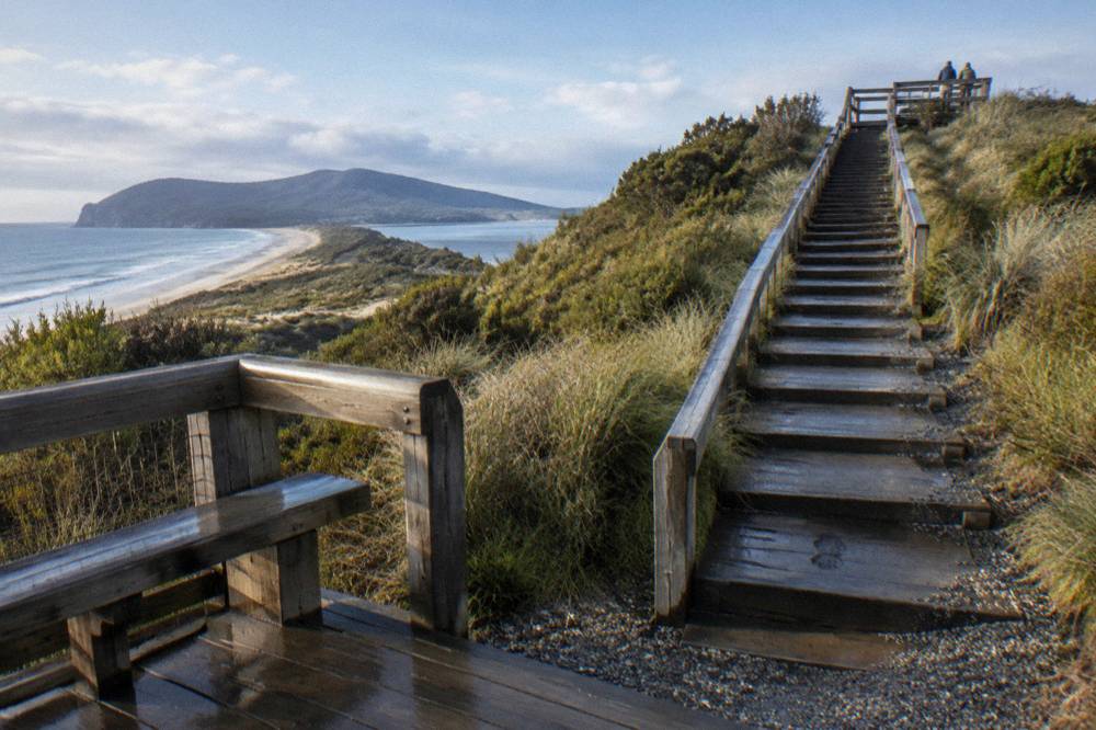 A long timber staircase climbing a grassed dune to a raised timber viewing platform above a narrow isthmus.